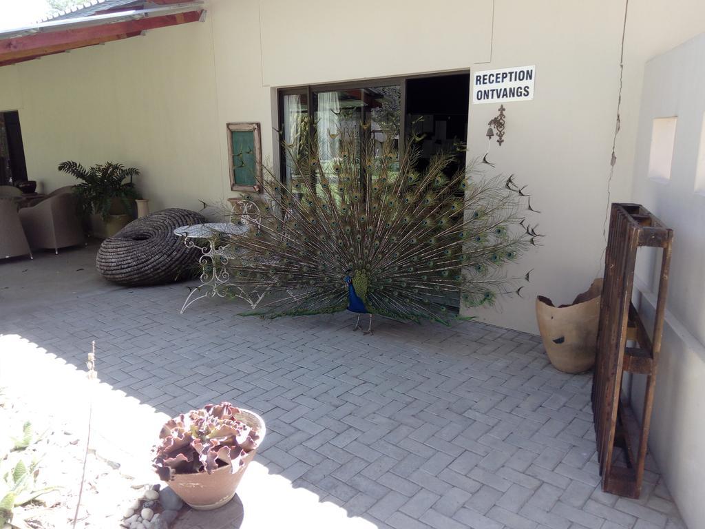 Xain Quaz Camp Hotell Gobabis Exteriör bild